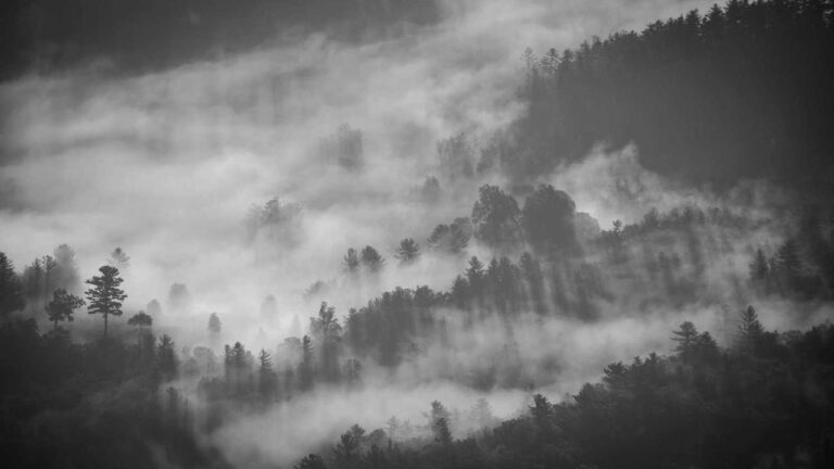 What To Do If 11Xplay Deposit Is Stuck Or Failed?